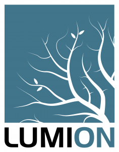 Lumion_corso_online